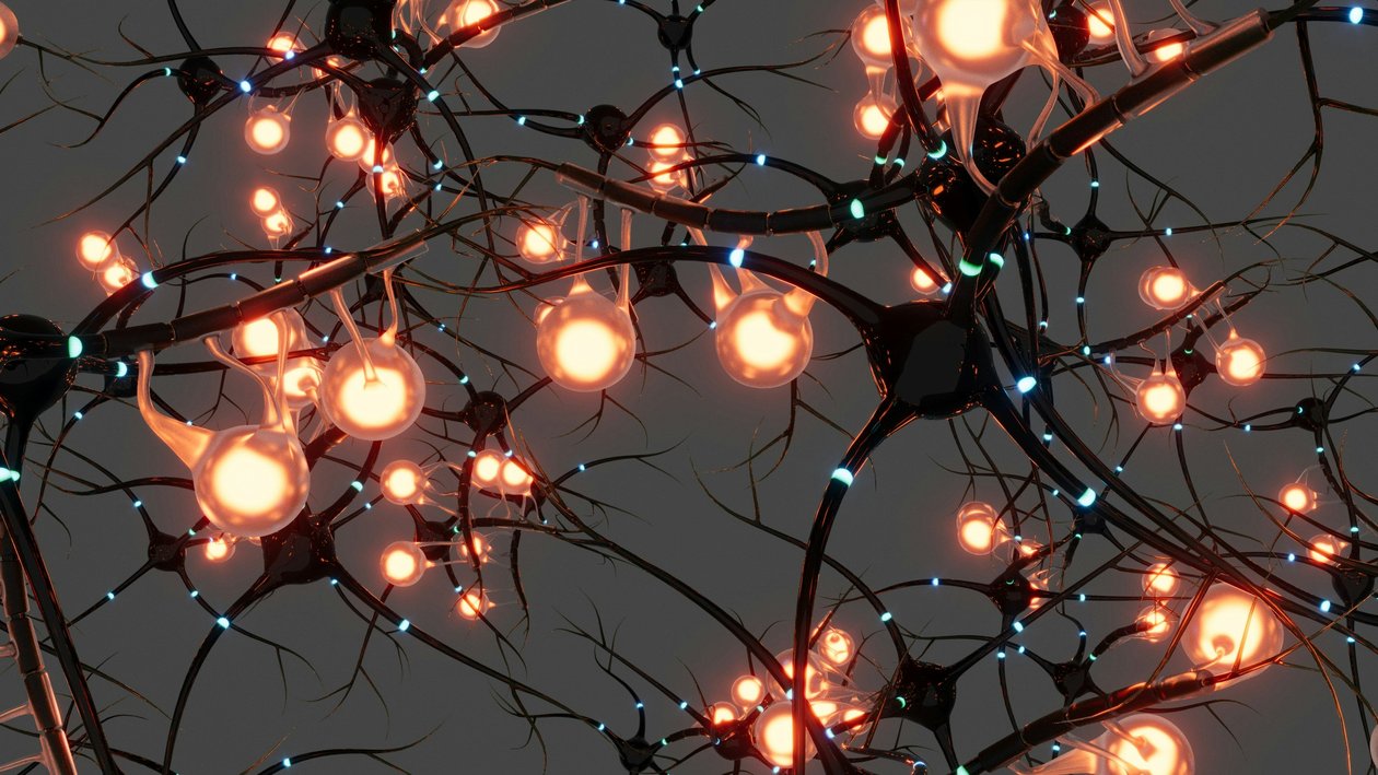 bhautik-patel-NVprB2Xt1bA-unsplash.jpg