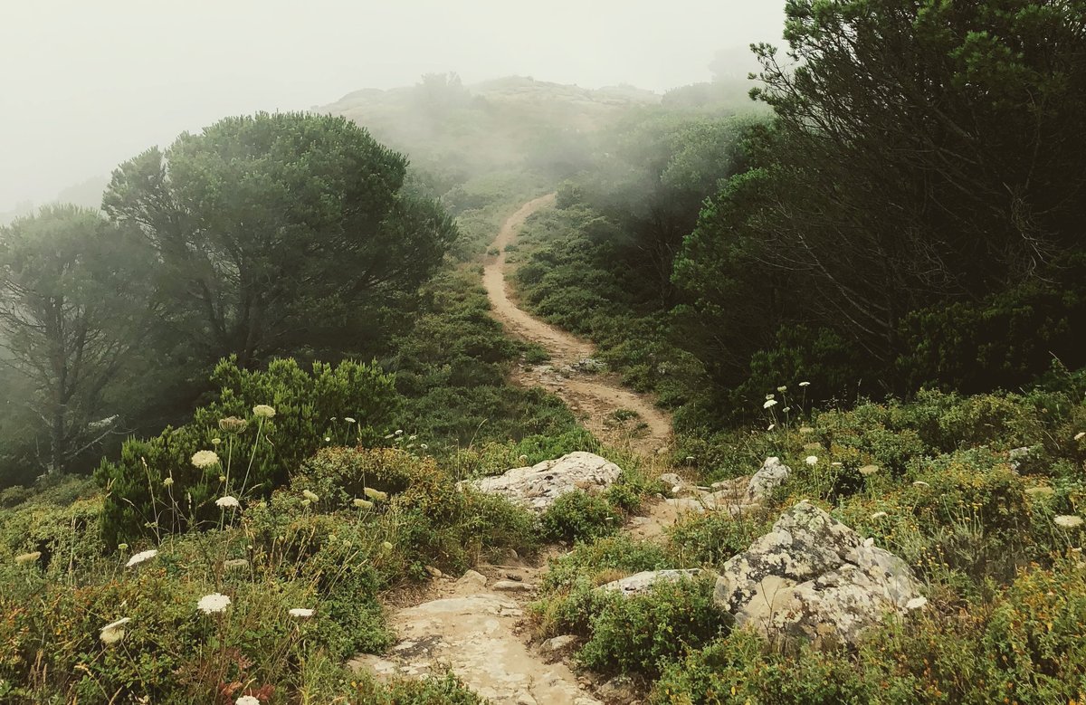 DIF_workshop_way_q__martino-pietropoli_unsplash.jpg