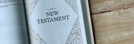 image of Lunchbox Lecture: New Testament Metaphors in Modern Translations