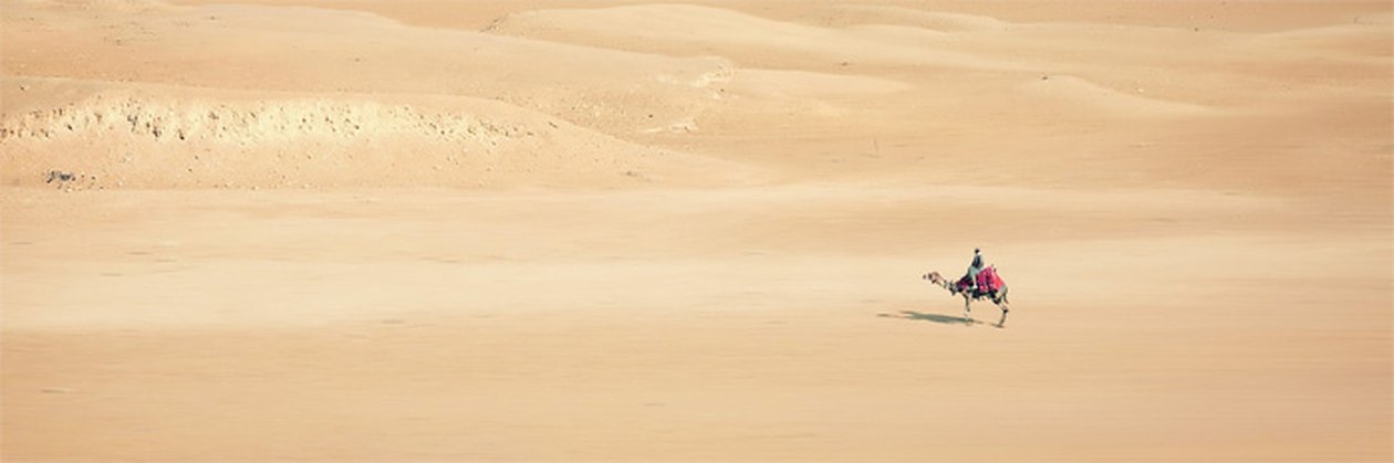 201907_W_Desert.jpg