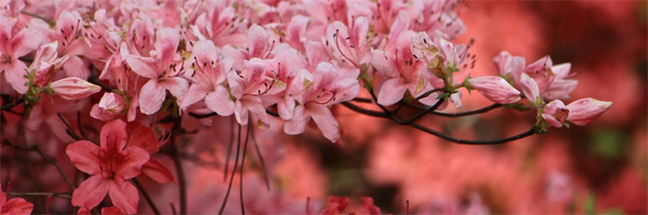 20190506_khk_auftakt#.jpg