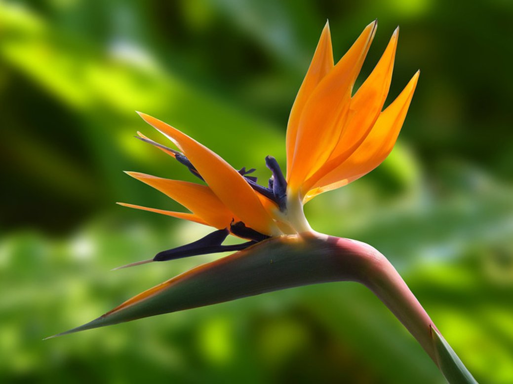 20180427_Absolvierendenfeier.jpg