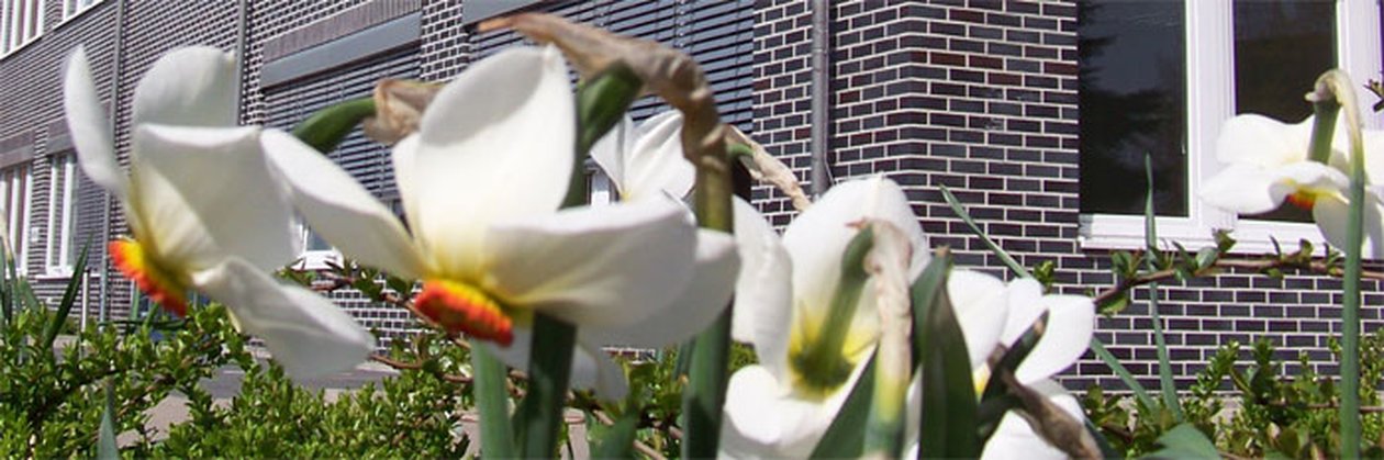 20190402_M_Erstsemester.jpg