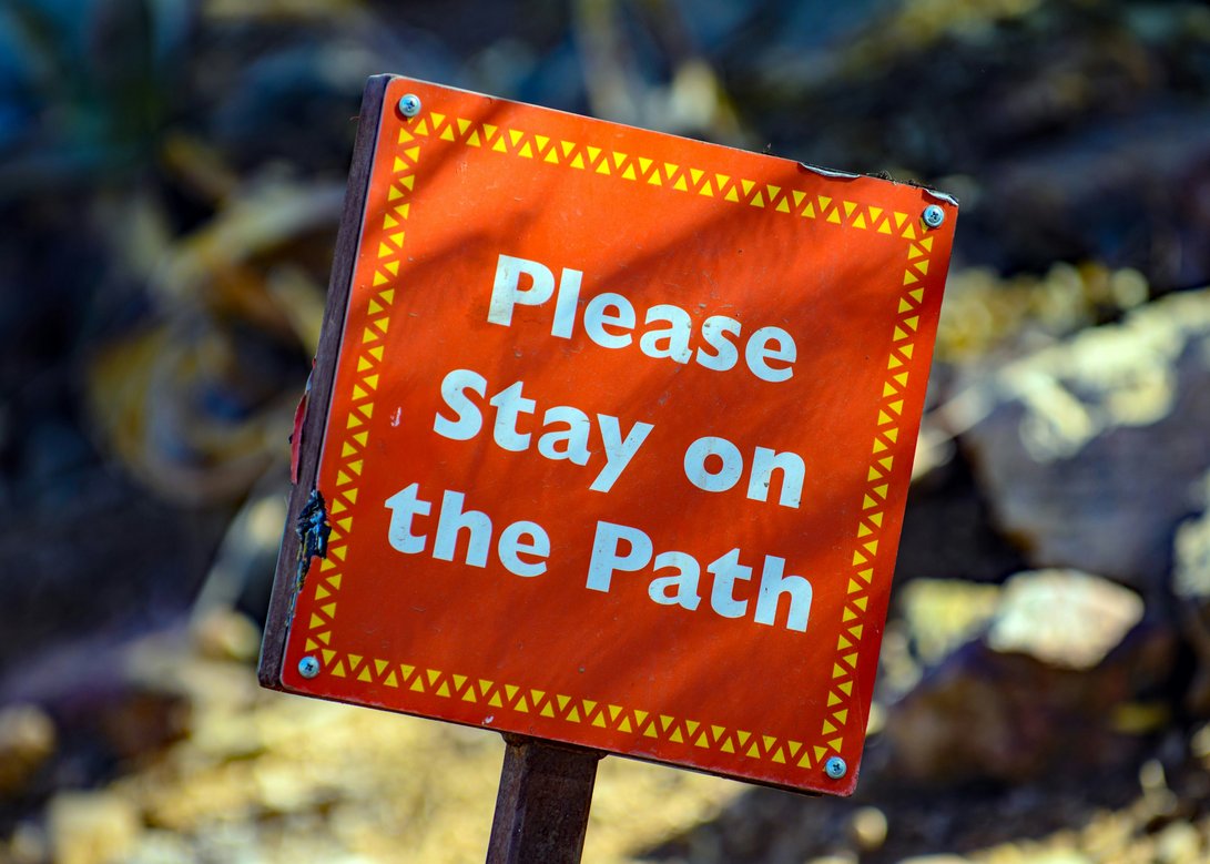 on the path.jpg