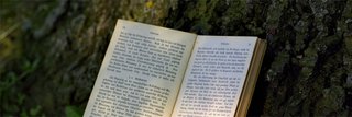 image of KHK Monday Meeting Guest Lecture: Gathering Leaves. The Tree and the Book