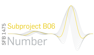 Logo of Subproject B06 [C01]